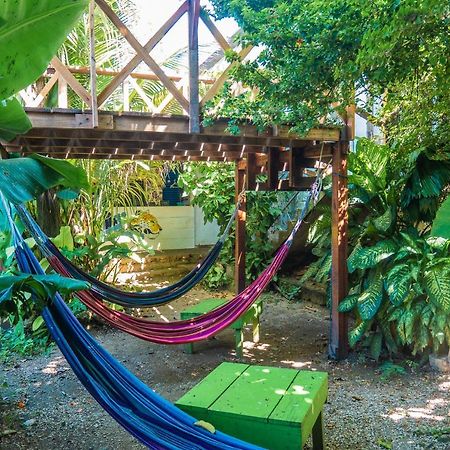 פלורס Ciao Cacao Hostel & Vegan Cafe מראה חיצוני תמונה