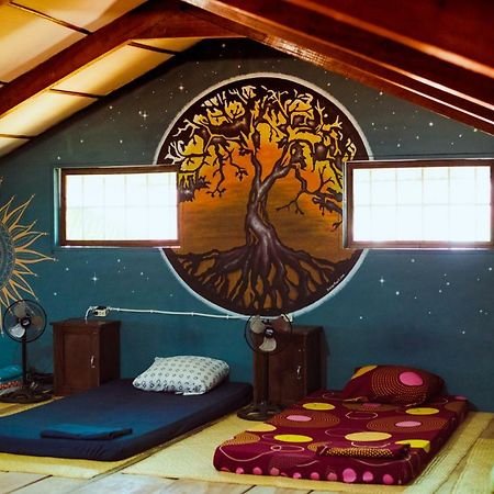 פלורס Ciao Cacao Hostel & Vegan Cafe מראה חיצוני תמונה