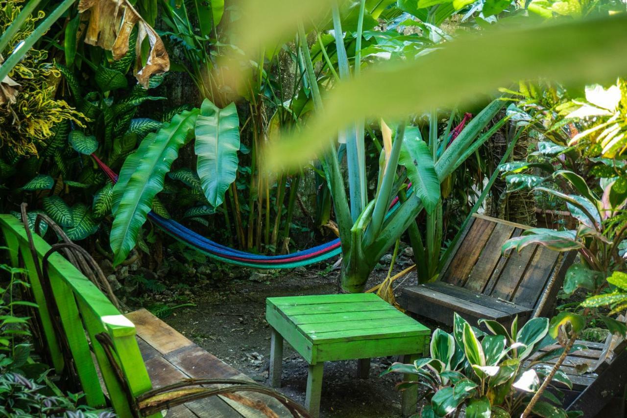 פלורס Ciao Cacao Hostel & Vegan Cafe מראה חיצוני תמונה