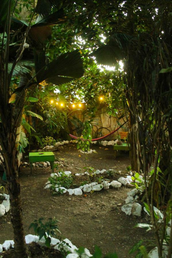 פלורס Ciao Cacao Hostel & Vegan Cafe מראה חיצוני תמונה