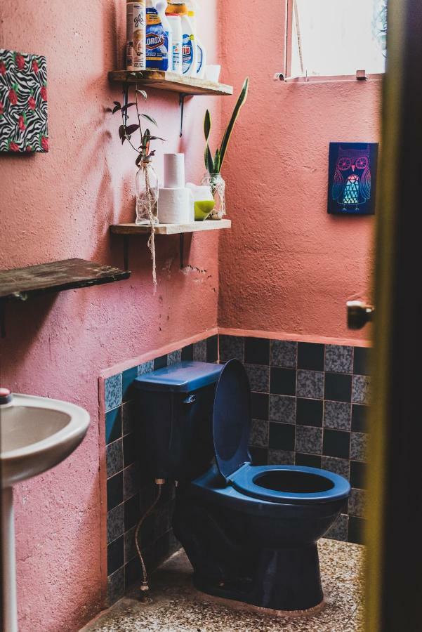 פלורס Ciao Cacao Hostel & Vegan Cafe מראה חיצוני תמונה